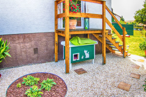 Garten im Katzenhotel Fulda