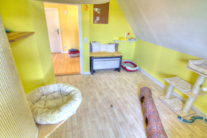 Zimmer Links im Katzenhotel