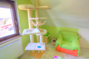 Zimmer 1 in der Katzenpension DAS Katzenhotel
