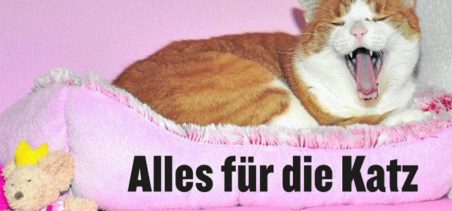 Unser Katzenhotel in der Presse Unser Katzenhotel in der Presse