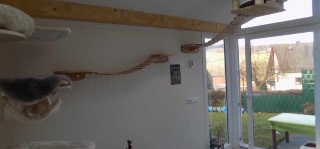 DAS Katzenhotel als Drehort