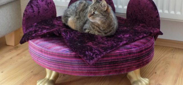 Stillvoll leben mit Daisy